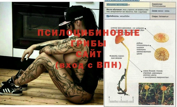 бошки Арсеньев